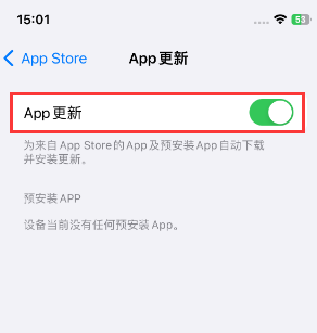 梨林镇苹果15维修中心如何让iPhone15APP自动更新